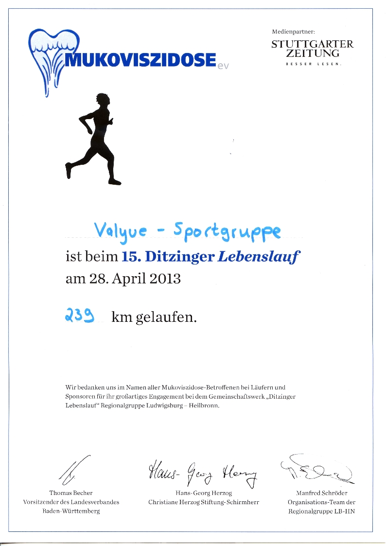 Ditzinger Lebenslauf 2013