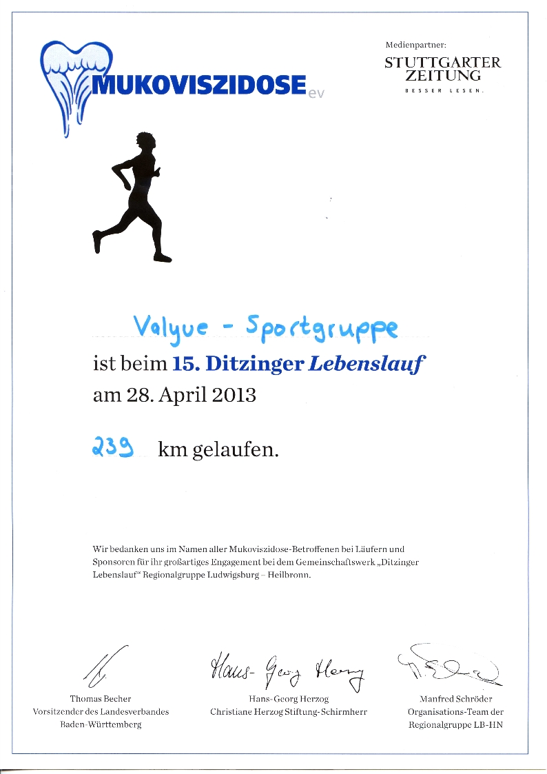 Ditzinger Lebenslauf 2013