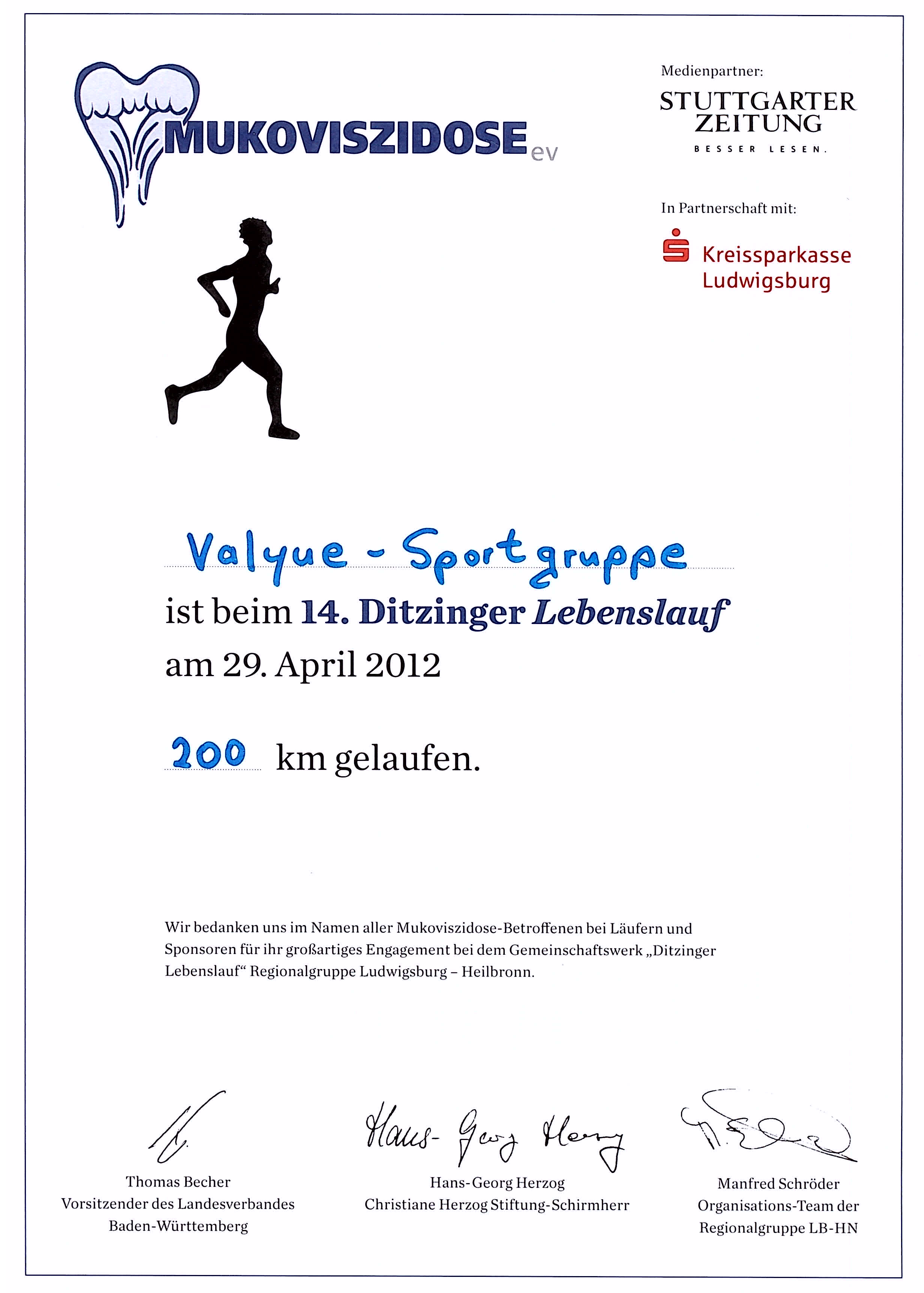 Ditzinger Lebenslauf Valyue Sportgruppe Urkunde