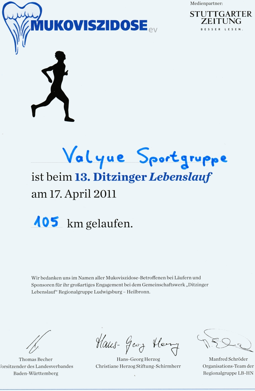 Ditzinger-Lebenslauf-Valyue-Sportgruppe-2011