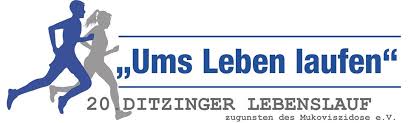 20-Jahre-Ditzinger-Lebenslauf