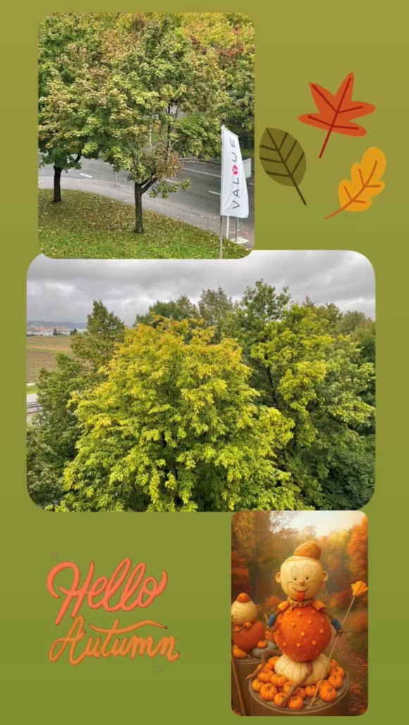 Herbstanfang Valyue