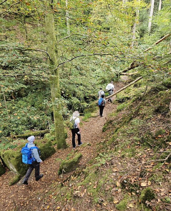 Automotive Goes Outdoors